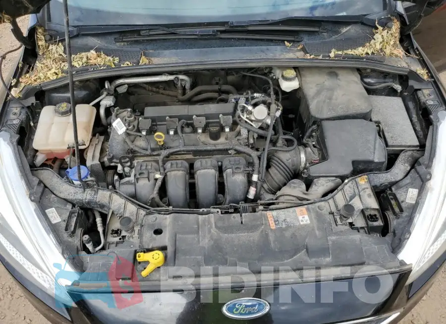 1FADP3F25HL263463 Photo# 11