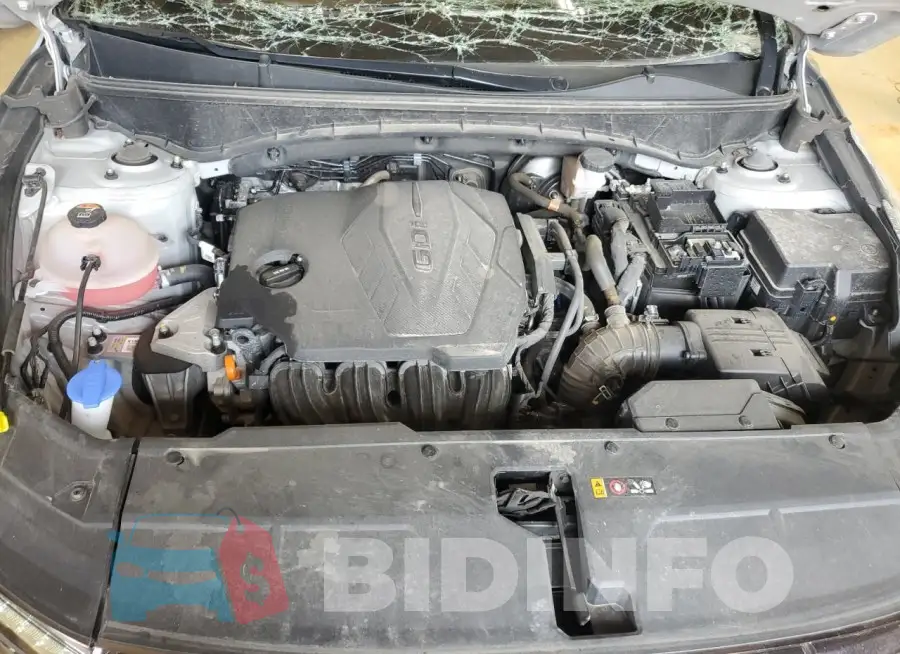 5NMJECDE0RH328903 Photo# 12