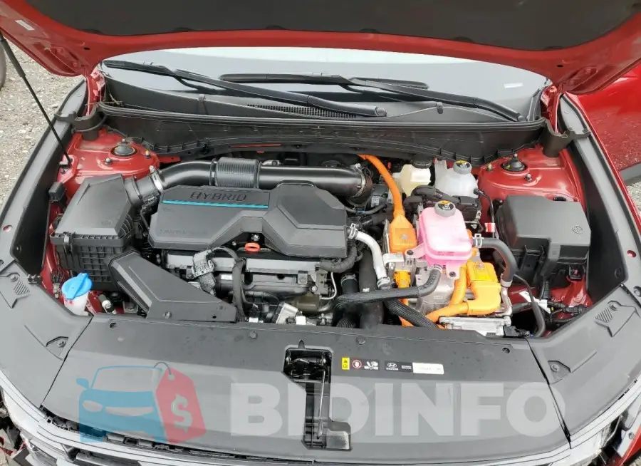 KM8JBDD13SU268704 Photo# 12
