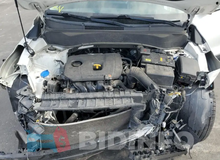 KNDEU2AA7M7216499 Photo# 11