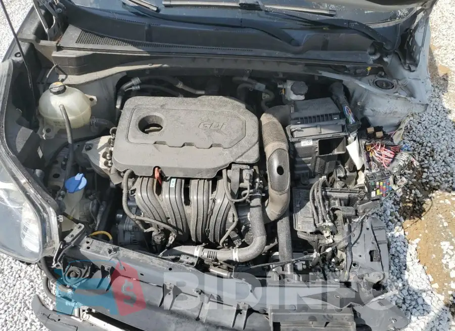 KNDPN3AC5L7719587 Photo# 12