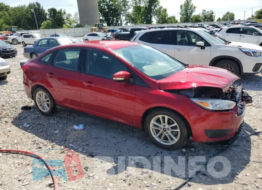 1FADP3F25GL219929 Photo# 4