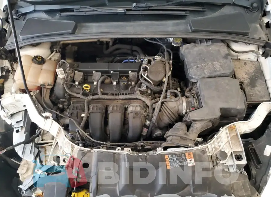 1FADP3F29GL310962 Photo# 11