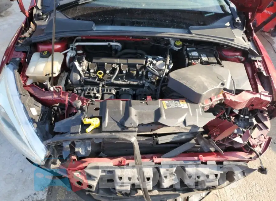 1FADP3K24GL386515 Photo# 11