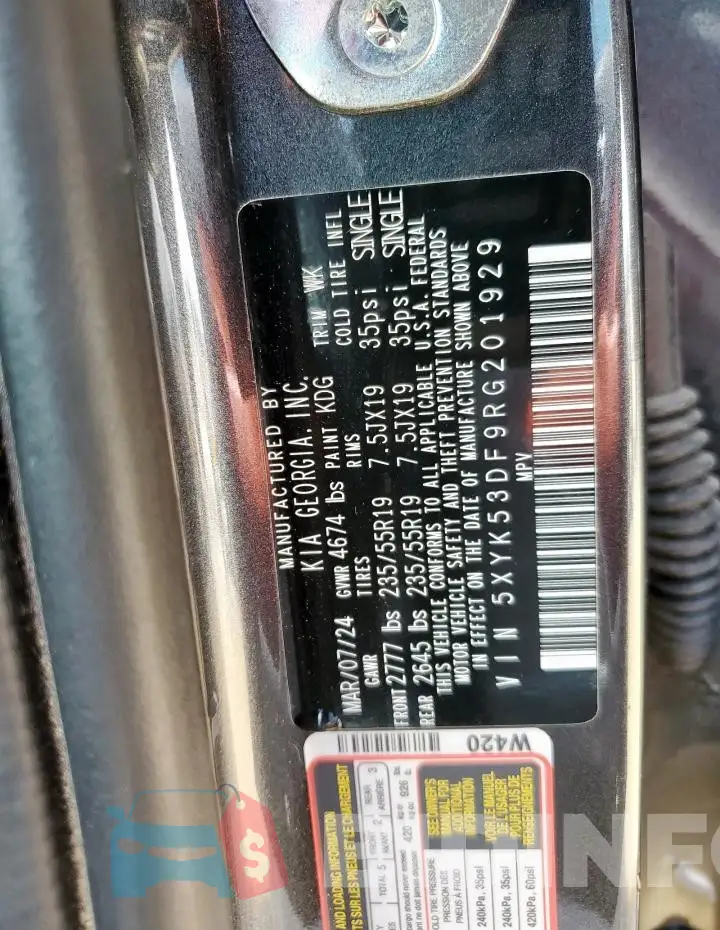 5XYK53DF9RG201929 Photo# 13