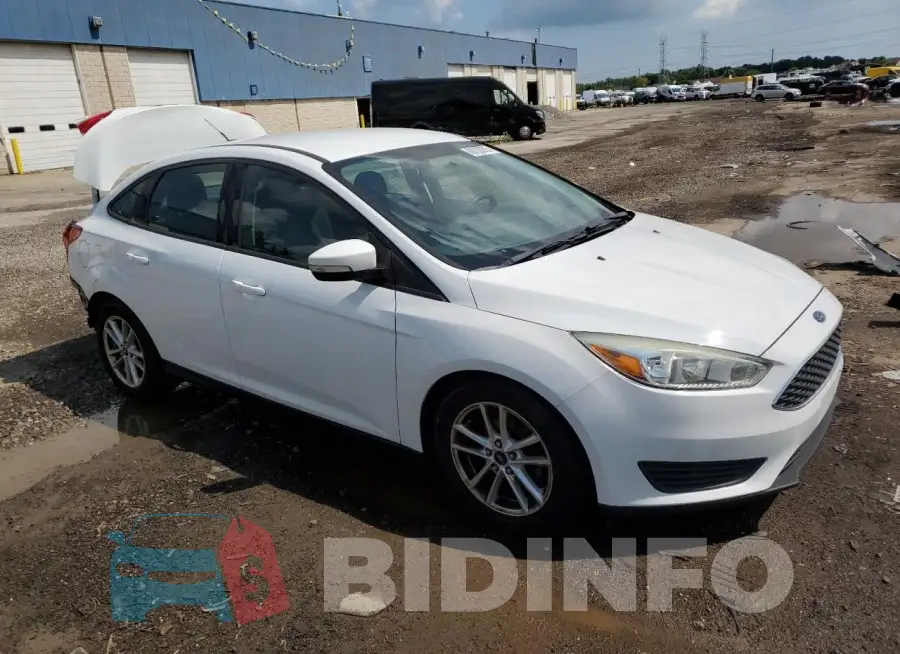 1FADP3F20GL237609 Photo# 4