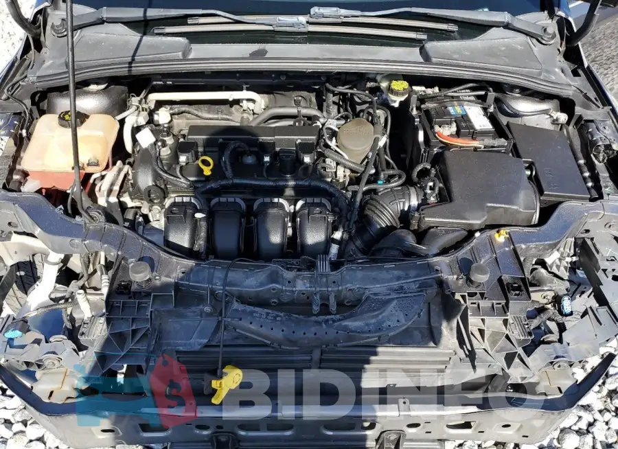 1FADP3F20GL250053 Photo# 11