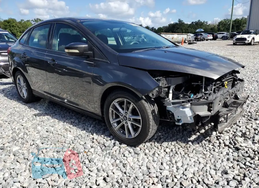 1FADP3F20GL250053 Photo# 4