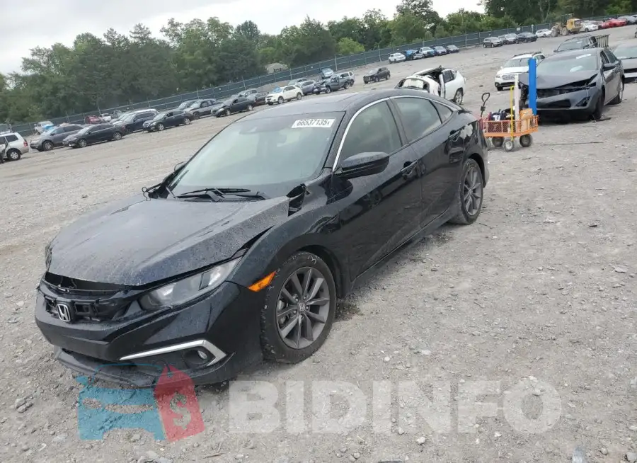 19XFC1F71LE023911 Photo# 1
