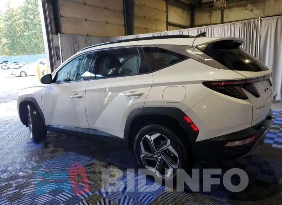 5NMJECDE8RH307216 Photo# 2