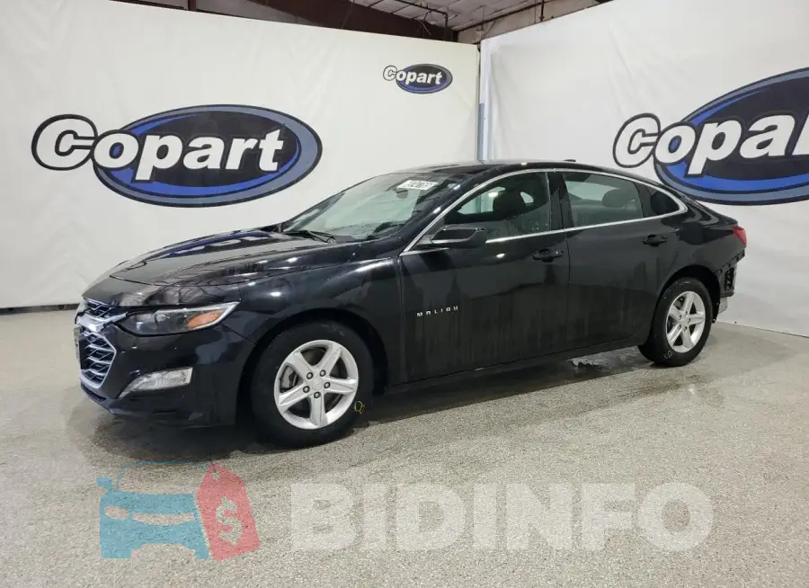 1G1ZD5ST8PF244334 Photo# 1