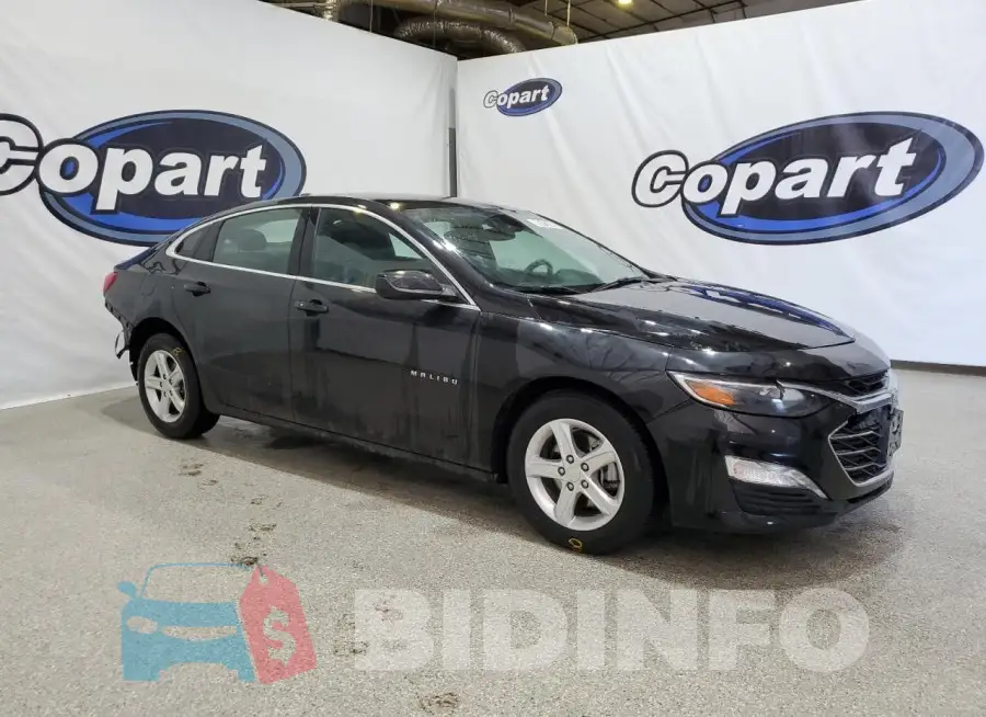 1G1ZD5ST8PF244334 Photo# 4