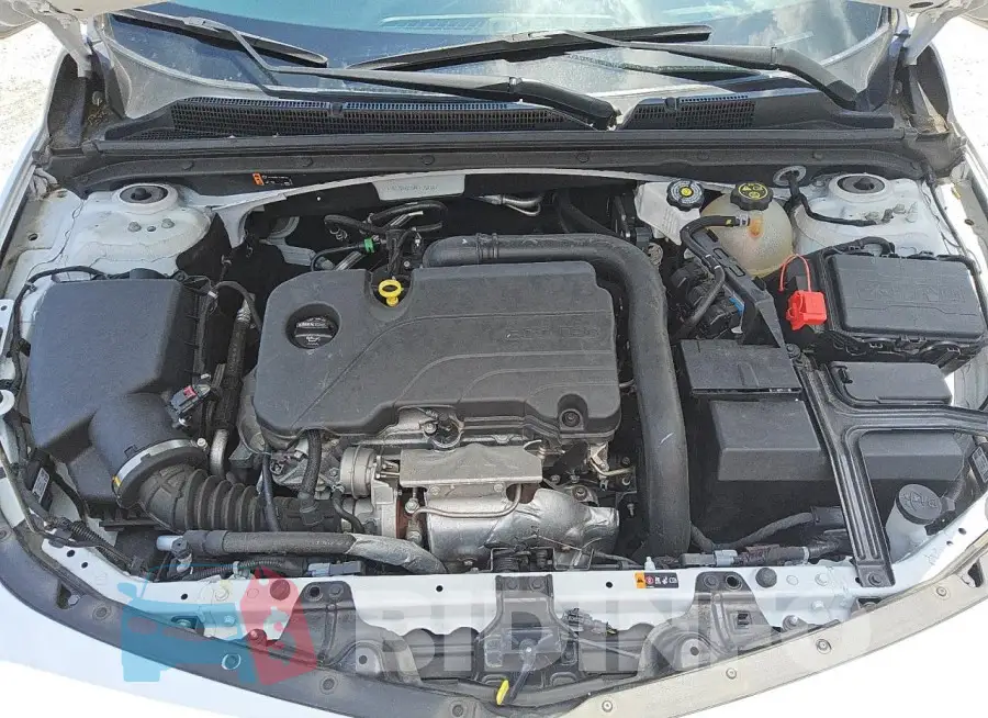 1G1ZG5ST0PF115835 Photo# 11
