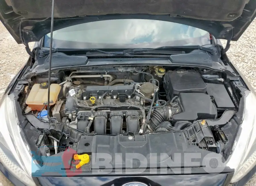 1FADP3E26GL297301 Photo# 11