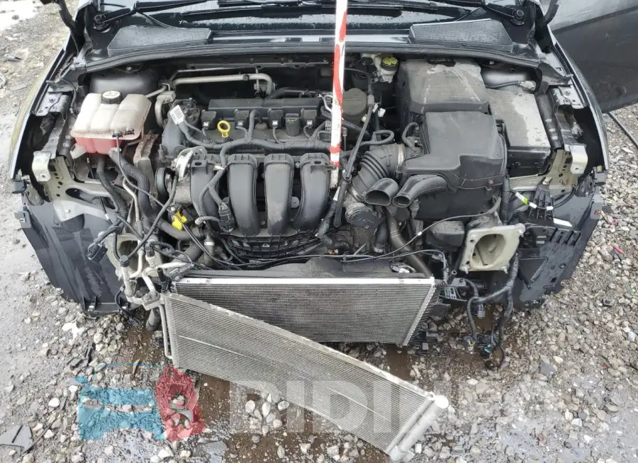 1FADP3F27GL211959 Photo# 11
