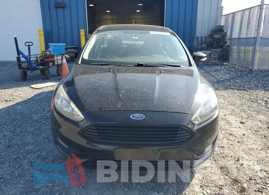 1FADP3FE8GL317203 Photo# 5