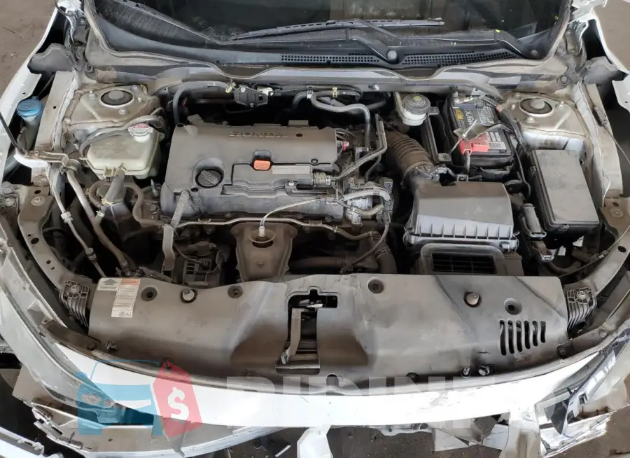 19XFC2F88ME202236 Photo# 11