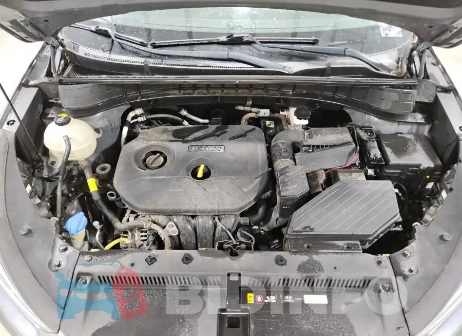 KM8J2CA47JU824164 Photo# 12
