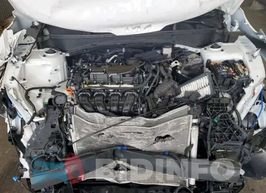 5XYK33DF4RG167663 Photo# 12