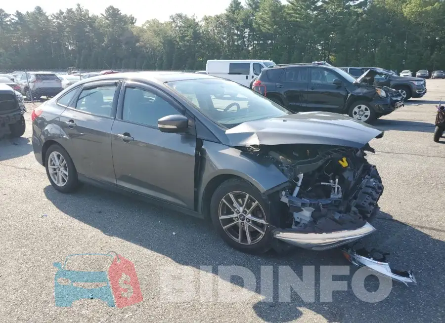 1FADP3F29GL247992 Photo# 4