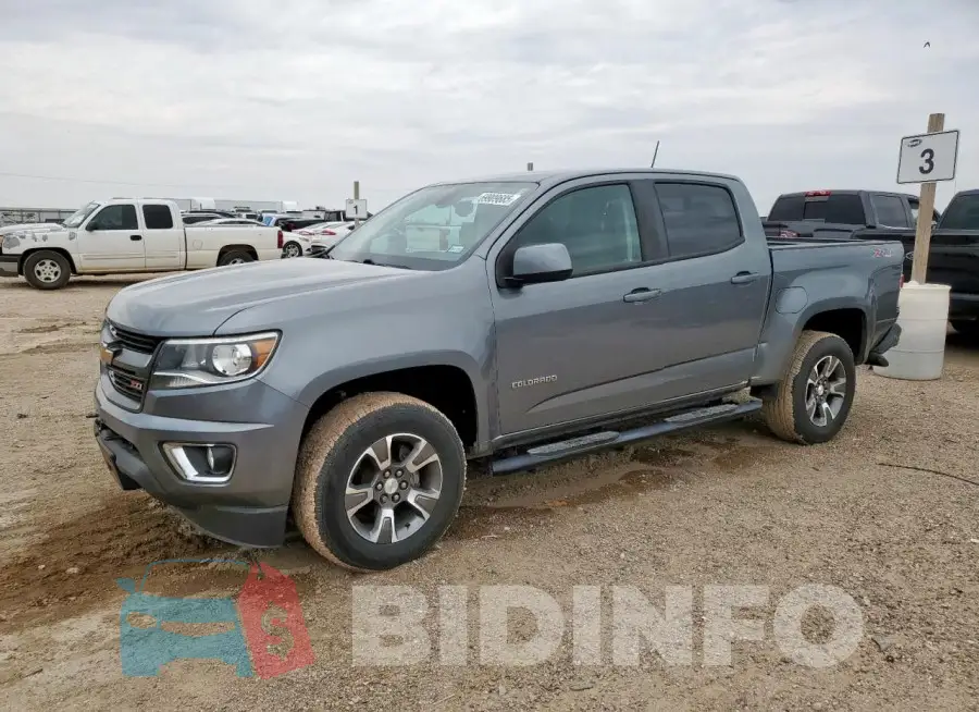 1GCGTDEN8L1248349 Photo# 1