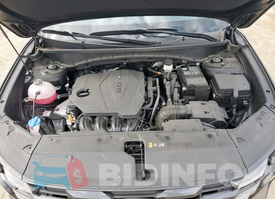 3KMJB3DE6SE011436 Photo# 12