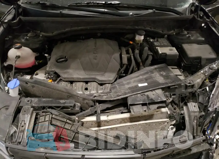 5NMJACDE5RH377977 Photo# 12