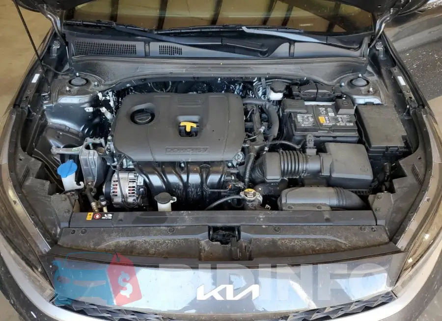 3KPF24AD3RE799354 Photo# 11