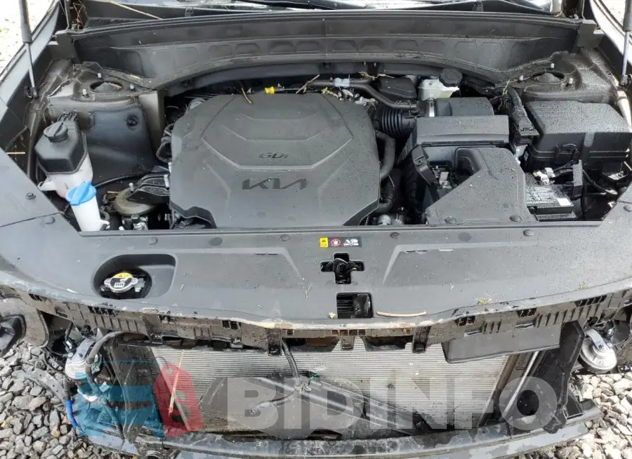5XYP5DGC1RG545204 Photo# 12