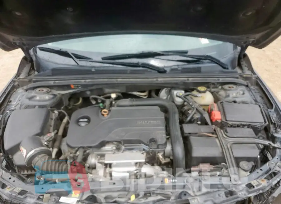 1G1ZD5ST1KF107678 Photo# 11