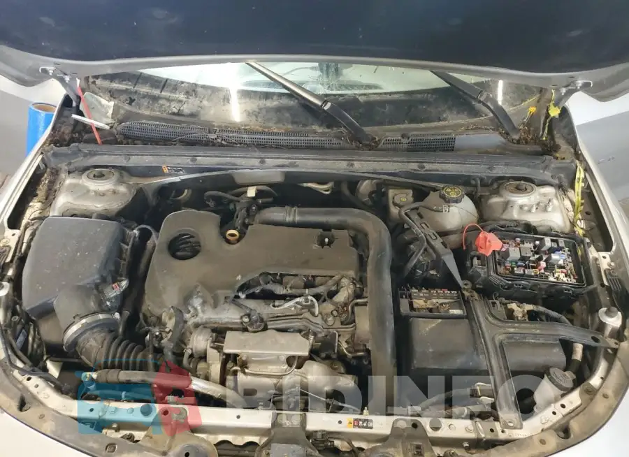 1G1ZD5ST5LF030377 Photo# 11