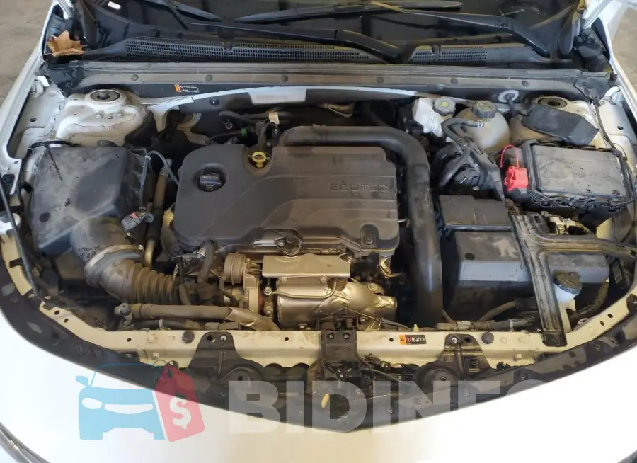 1G1ZD5ST5PF223568 Photo# 11