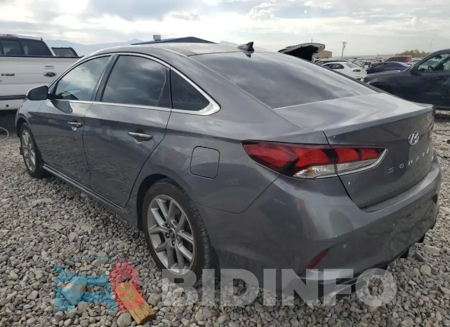 5NPE34AB7KH796255 Photo# 2