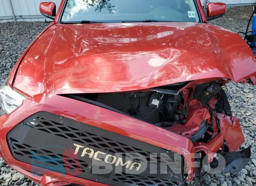 3TYCZ5AN5MT007950 Photo# 11