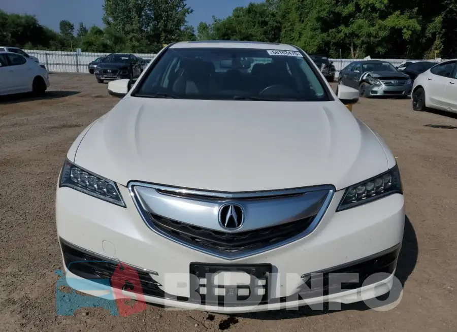 19UUB3F39HA801175 Photo# 5