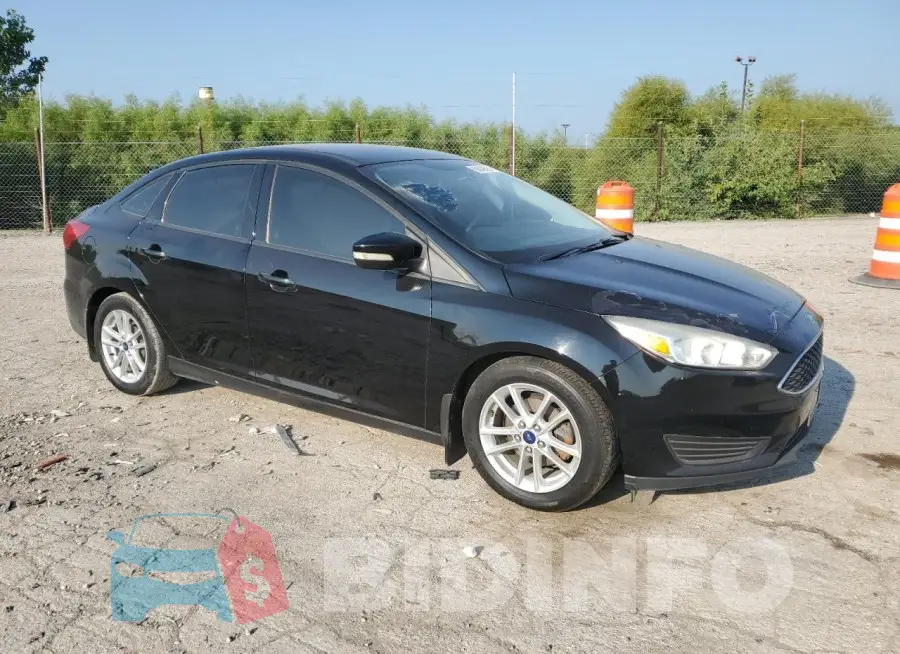 1FADP3F24GL239184 Photo# 4