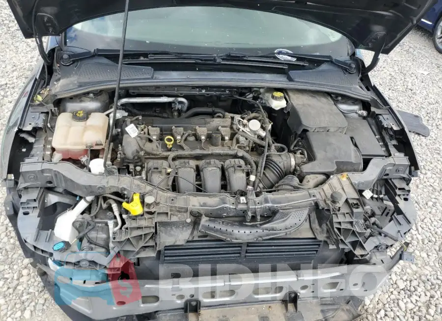 1FADP3F25HL306201 Photo# 11