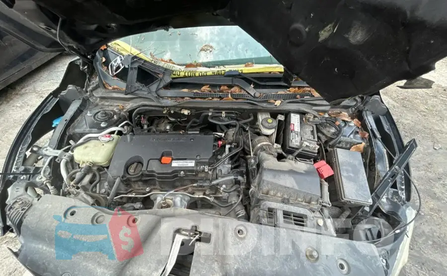 19XFC2F50GE039074 Photo# 7