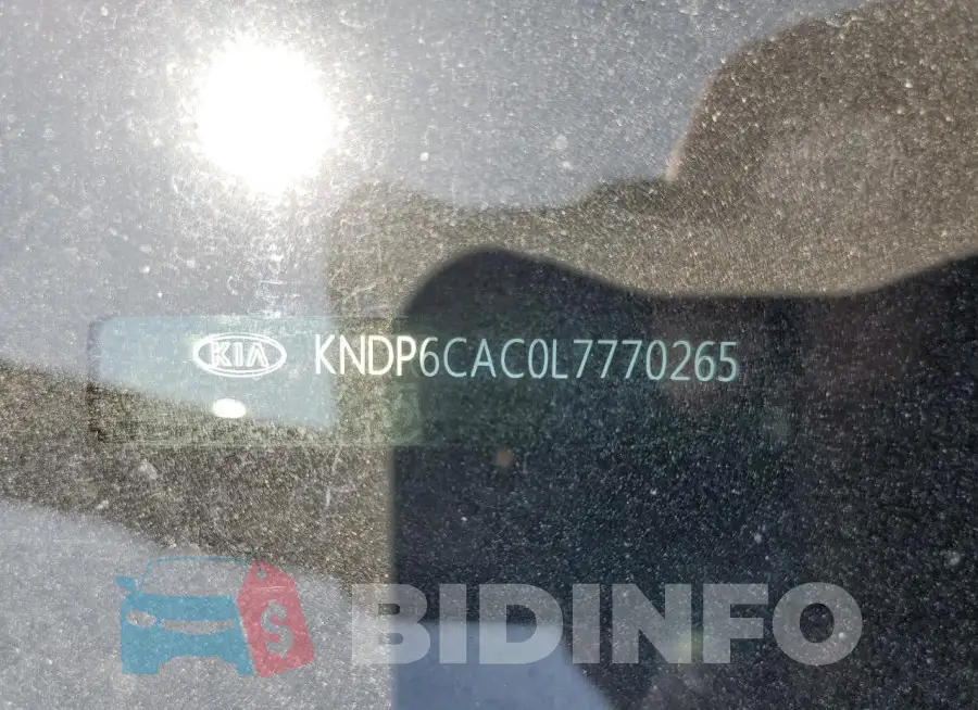 KNDP6CAC0L7770265 Photo# 13