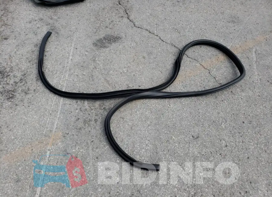 1FTEW1E49LKF46889 Photo# 12