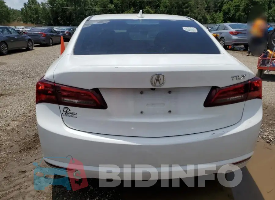 19UUB1F58GA005375 Photo# 6
