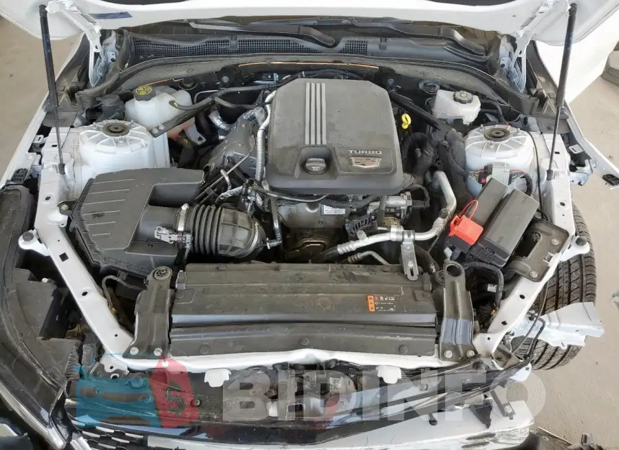 1G6DB5RK2P0109439 Photo# 11