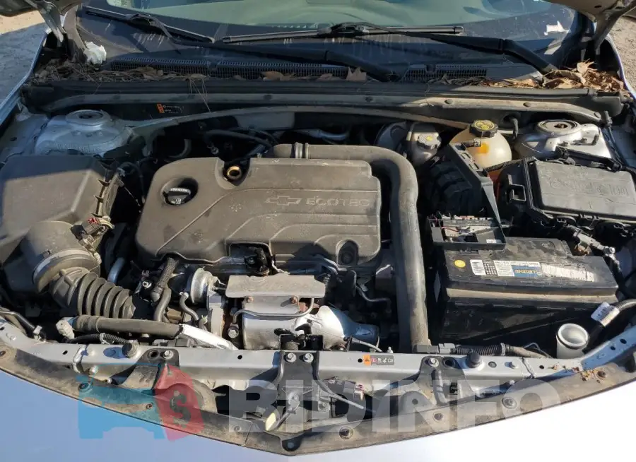 1G1ZB5ST5HF231693 Photo# 11