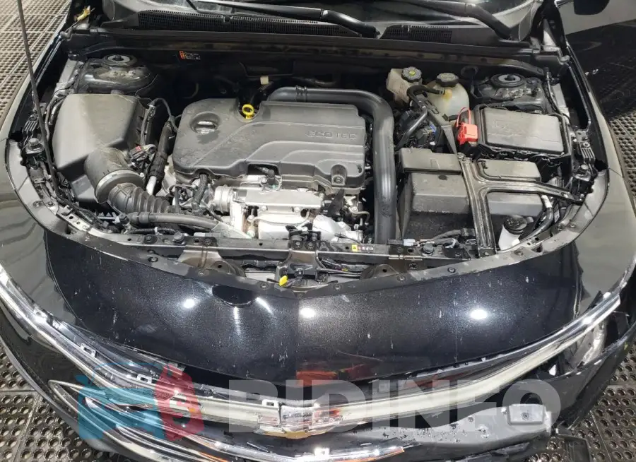 1G1ZD5ST1SF130250 Photo# 11