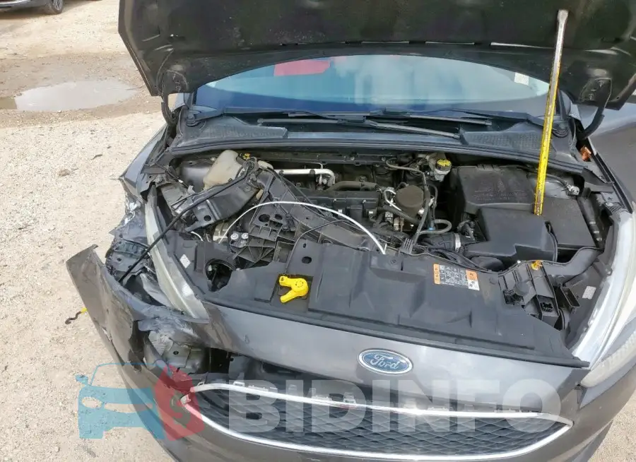 1FADP3F26GL251790 Photo# 11