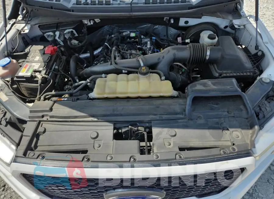 1FTEW1CP2KFB77183 Photo# 11