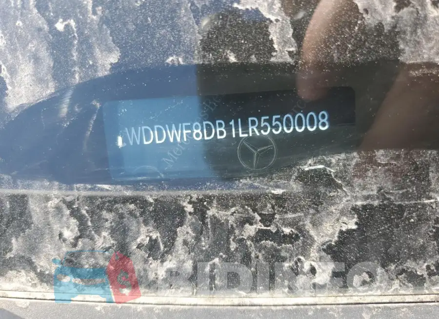 WDDWF8DB1LR550008 Photo# 12