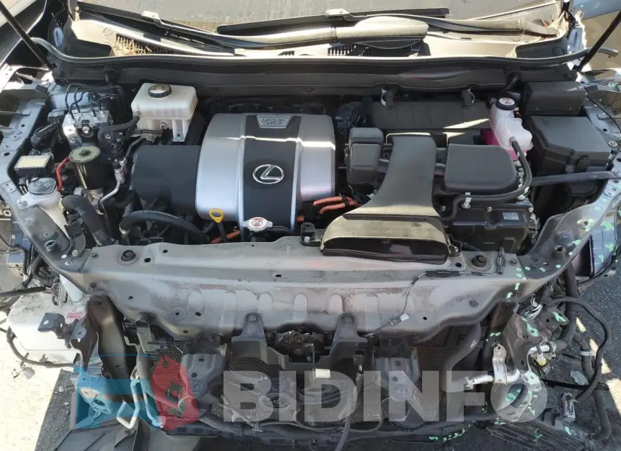 JTJHGKFA0M2021397 Photo# 12