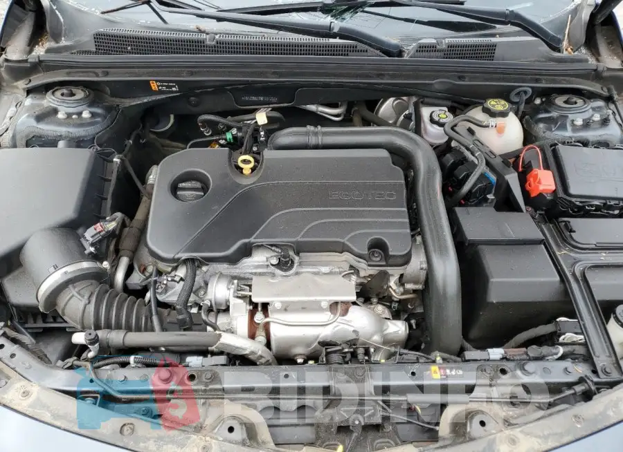 1G1ZD5ST0MF037237 Photo# 11