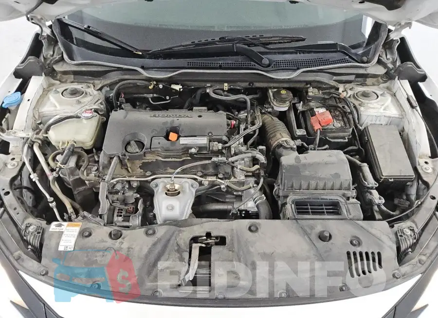 19XFC2F64LE200514 Photo# 11